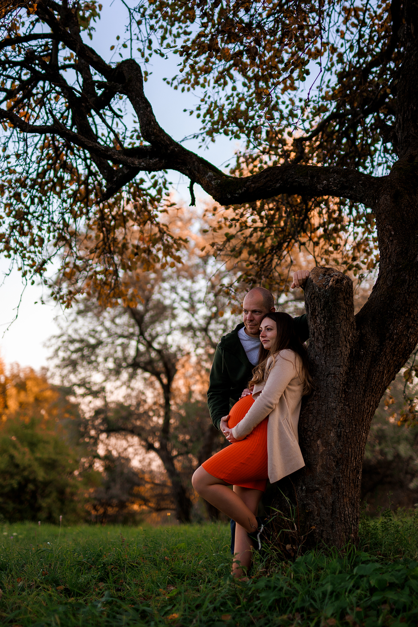 fa árnyékában páros kismama fotózás Miskolcon a természetben