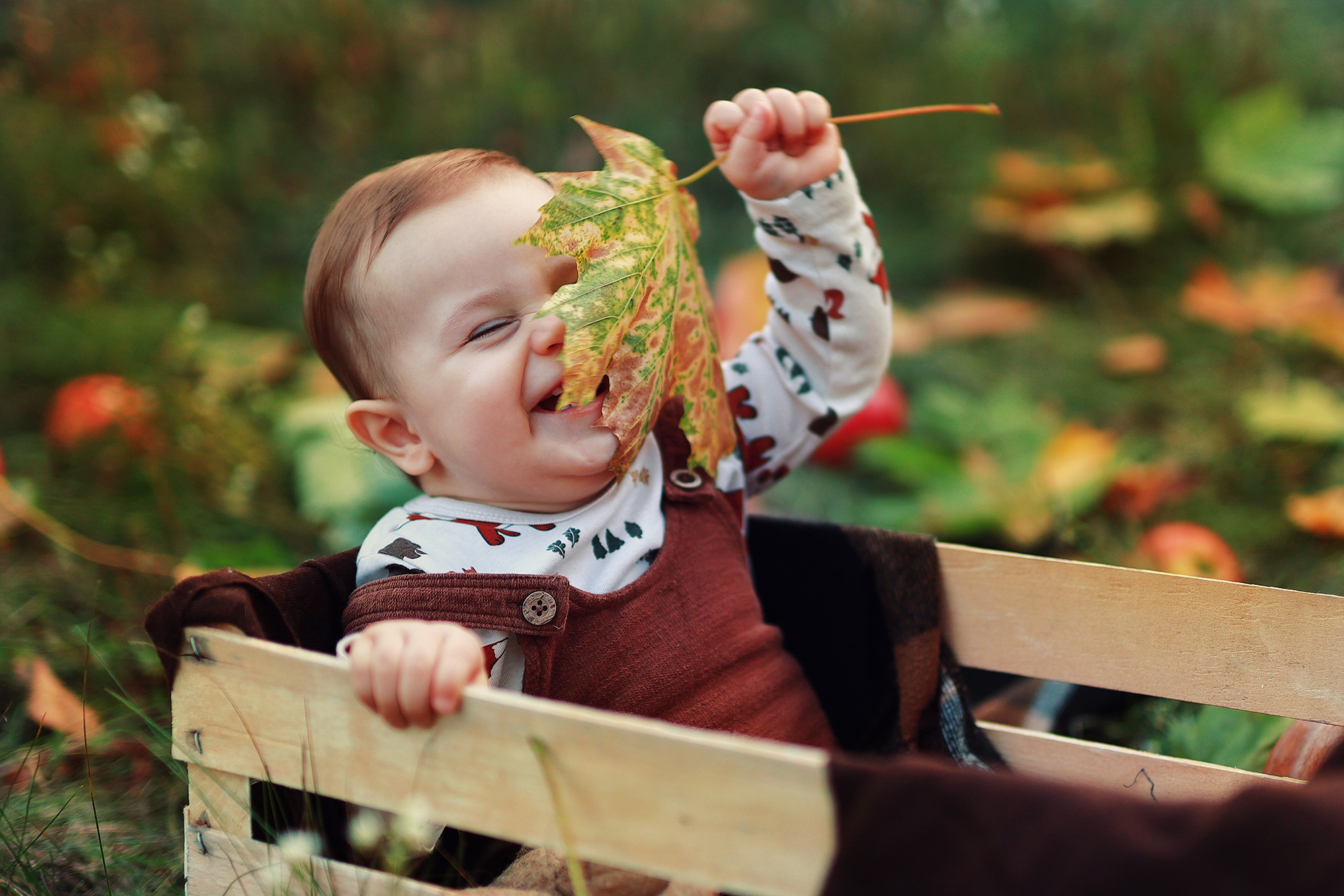 baba nagyon nevet egy őszi falevélnek a kültéri fotózáson.