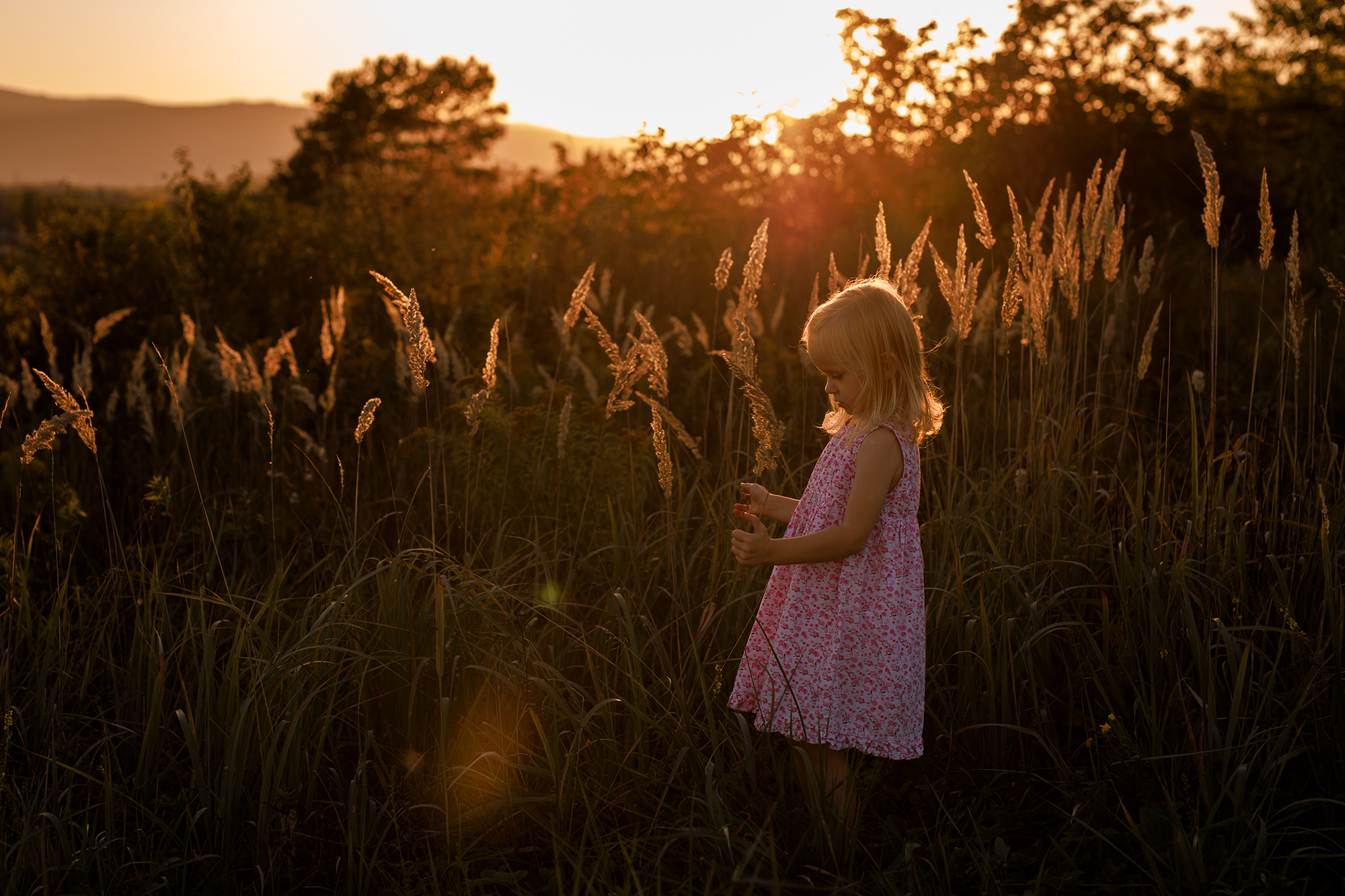 aranyórában nézi a kislány a növényt.
